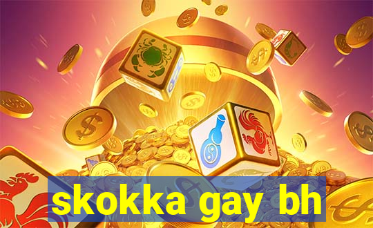 skokka gay bh